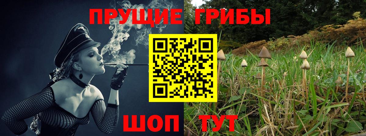 Галлюциногенные грибы Psilocybe  Вход с VPN  Куйбышев 