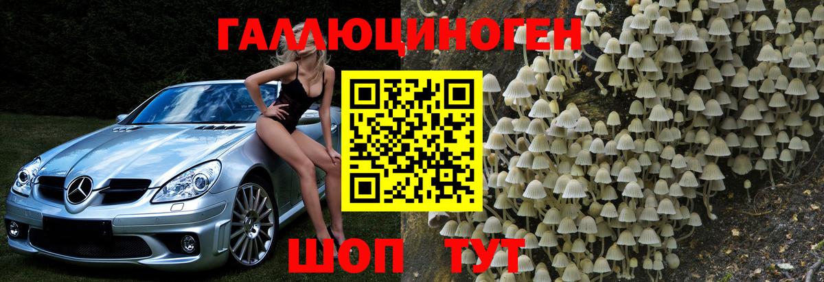 Галлюциногенные грибы MAGIC MUSHROOMS Куйбышев